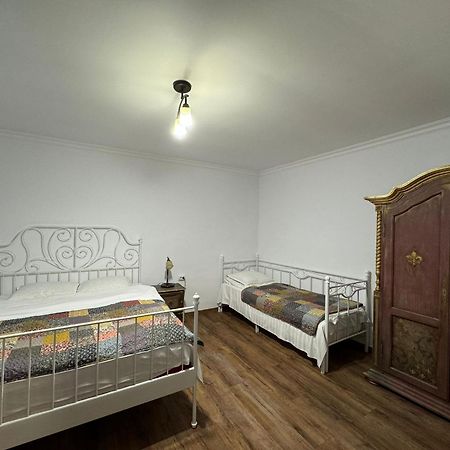 Vila Speranta Pleşcoi Εξωτερικό φωτογραφία