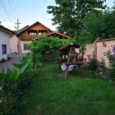 Vila Speranta Pleşcoi Εξωτερικό φωτογραφία