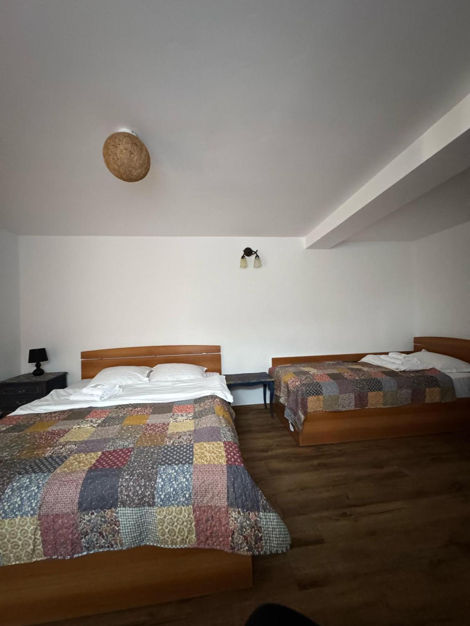 Vila Speranta Pleşcoi Εξωτερικό φωτογραφία