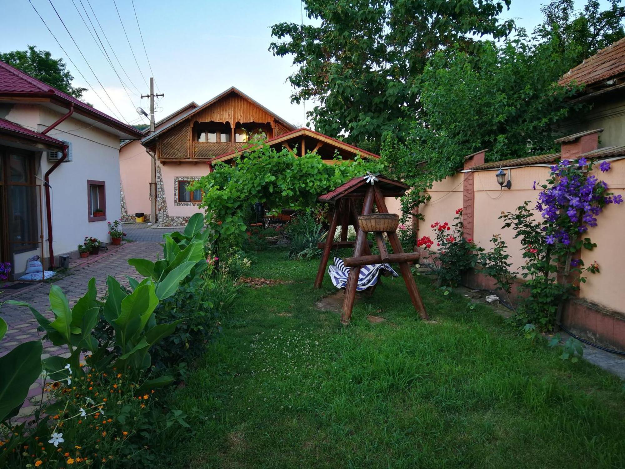 Vila Speranta Pleşcoi Εξωτερικό φωτογραφία
